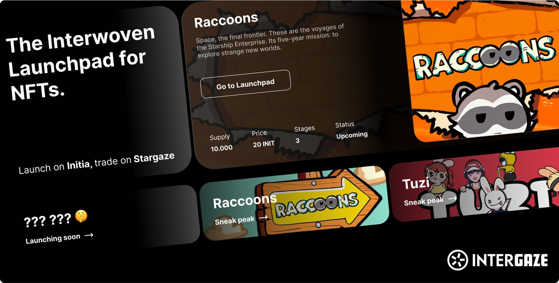 Intergaze Launchpad & Marketplace — the vip